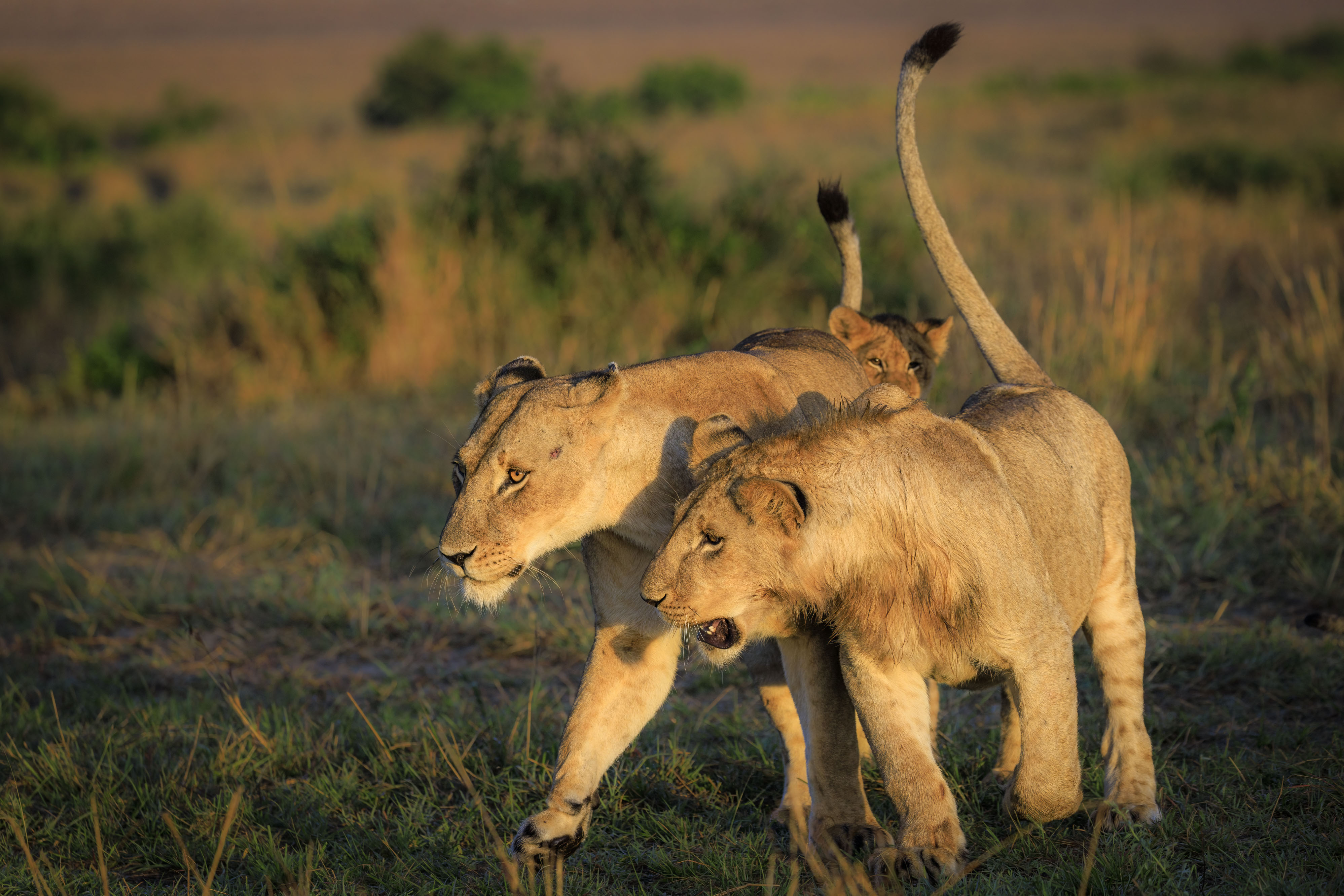 November 11, 2022-063007-2-Edit.jpg